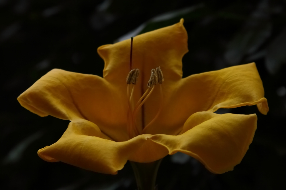 2013 02 23 IMG 5730